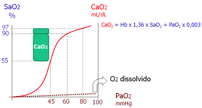 Influências da PaO2, SaO2 e curva da dissociação da hemoglobina sobre o CaO2